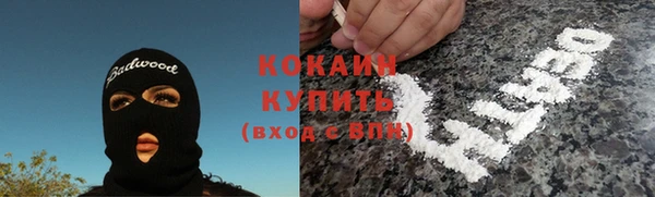 spice Богородицк