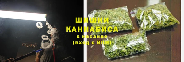spice Богородицк