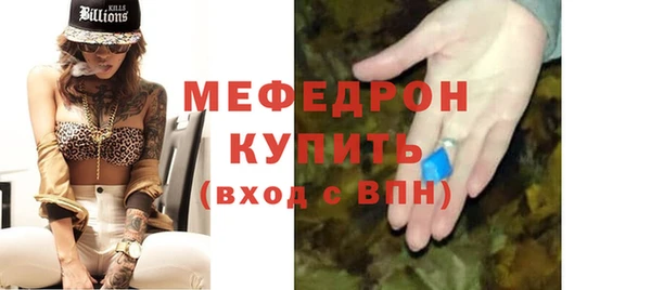 spice Богородицк