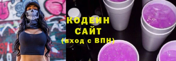 spice Богородицк