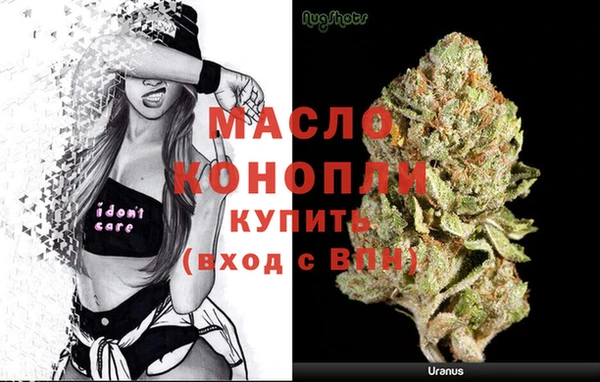 spice Богородицк