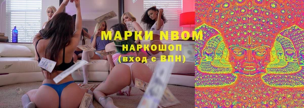 spice Богородицк