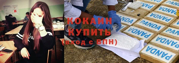 spice Богородицк