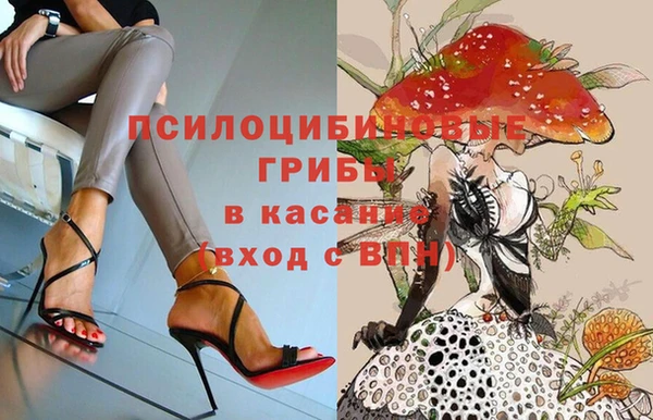 гидропоника Бугульма