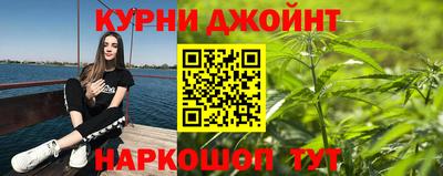 крисы Жуковский