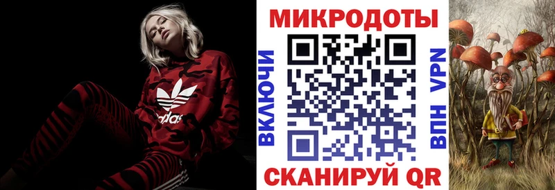 закладка  omg ТОР  Псилоцибиновые грибы Psilocybe  Дальнегорск 