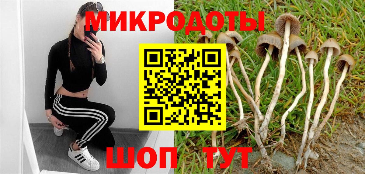 Дальнегорск  Галлюциногенные грибы прущие грибы  Вход с VPN 